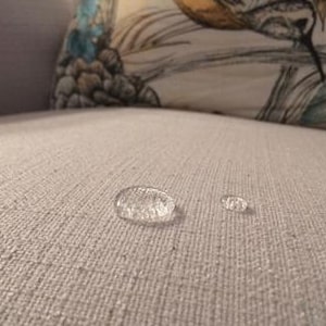 Couch Scotchgard Service