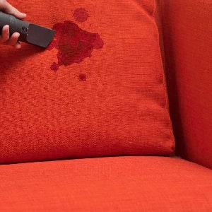 Couch Stain Removal