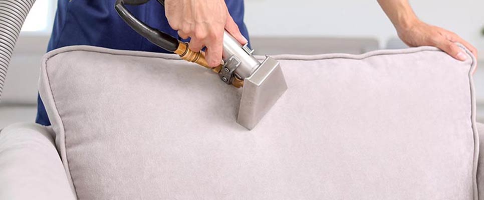 Couch Steam Cleaning in Coorparoo